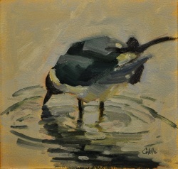 Seagull in Puddle *SOLD*