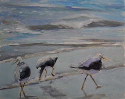 Beach Bird Trio